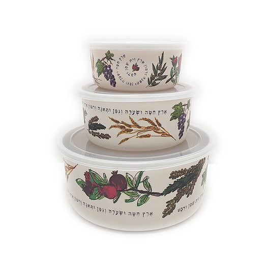Food Container Set of 3 – Seven Species Design