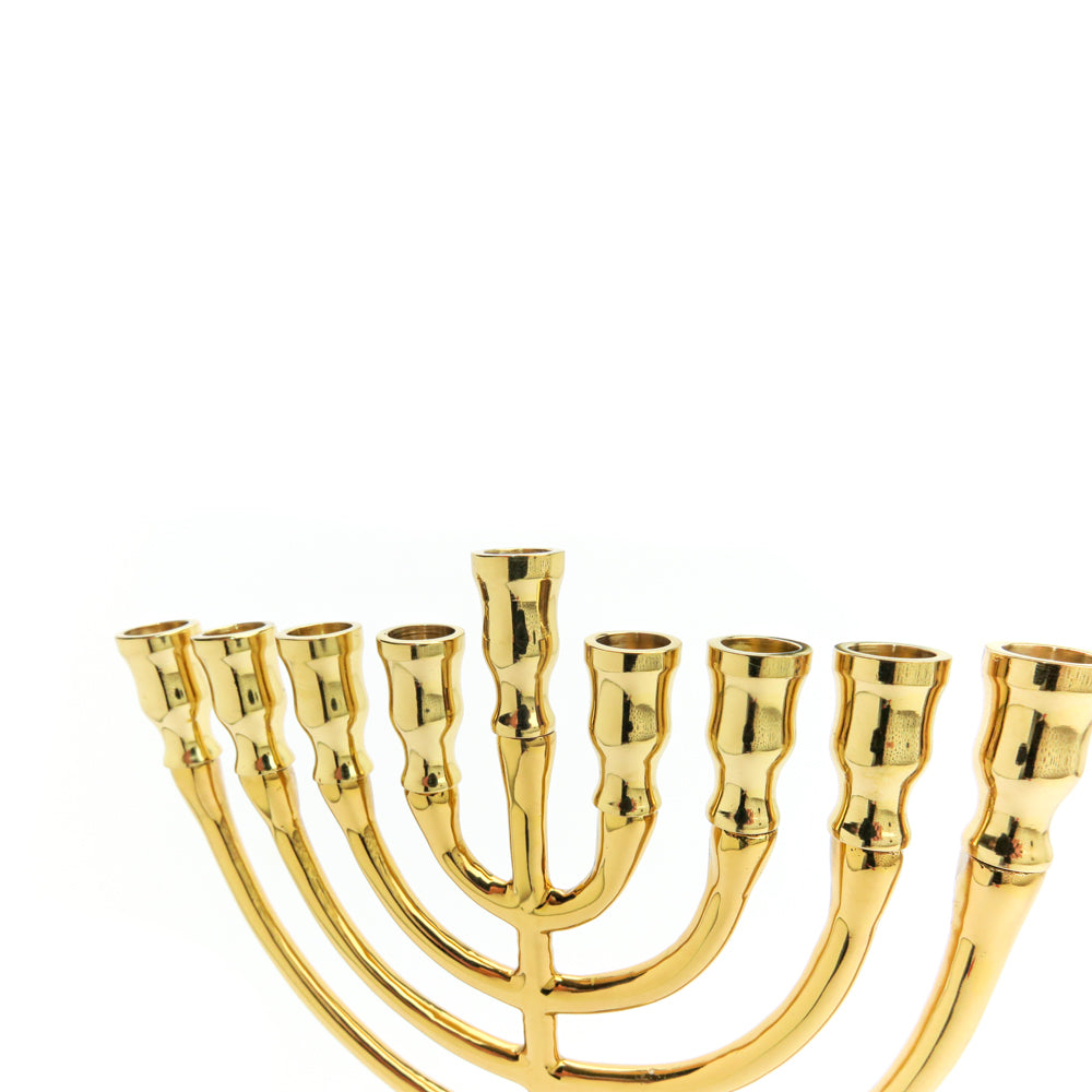 Classic Bronze Hanukkah Menorah