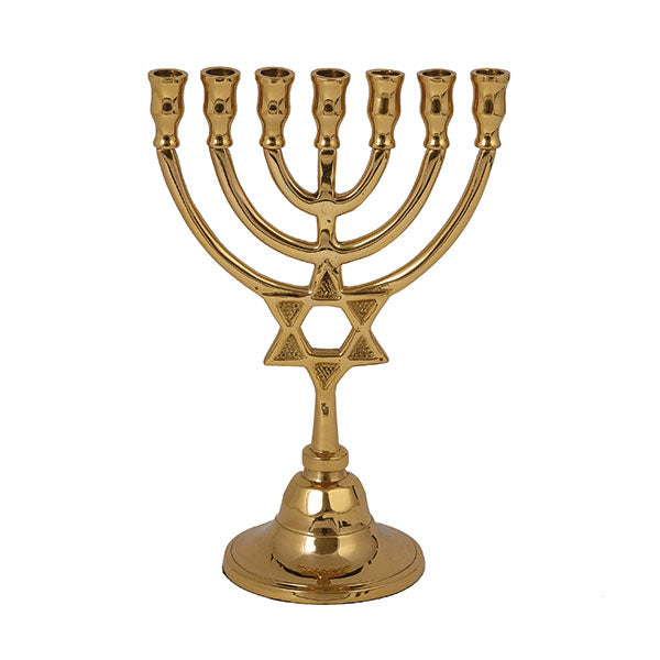 Cast Metal Seven Branch Menorah, Star of David