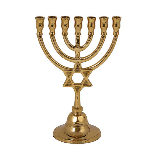 Cast Metal Seven Branch Menorah, Star of David